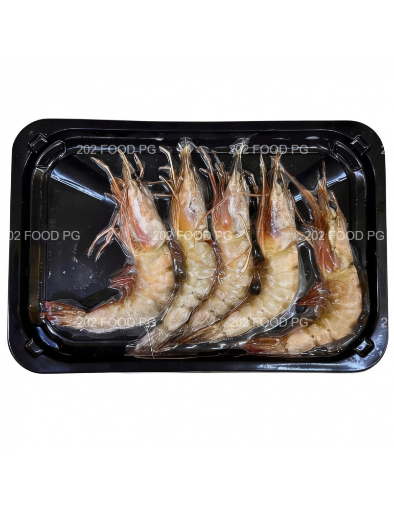 PRAWN - SHRIMP WHITE 5'S